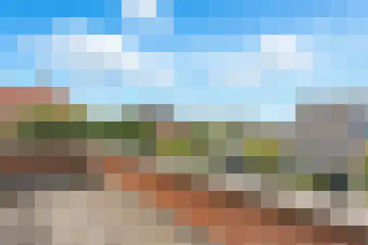 Meerkoet 26 Nieuw-Lekkerland thumbnail 30