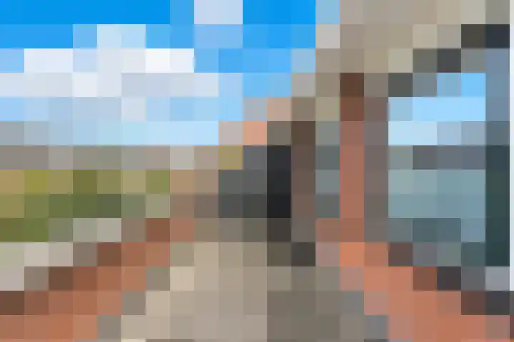 Meerkoet 26 Nieuw-Lekkerland thumbnail 31