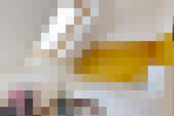Meerkoet 26 Nieuw-Lekkerland thumbnail 37