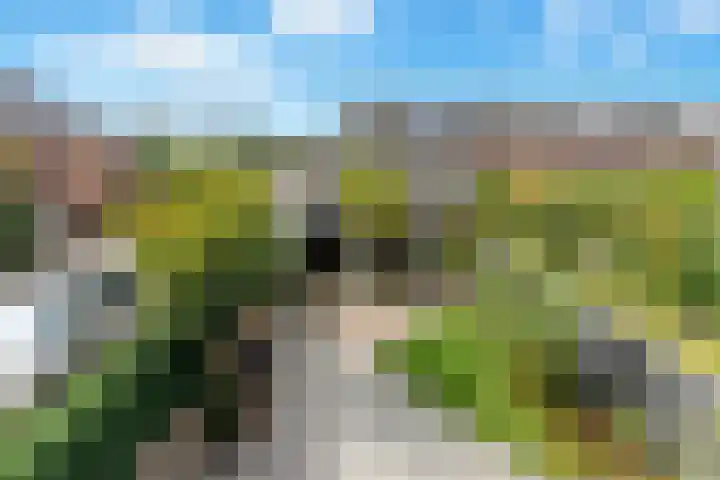 Meerkoet 26 Nieuw-Lekkerland thumbnail 44