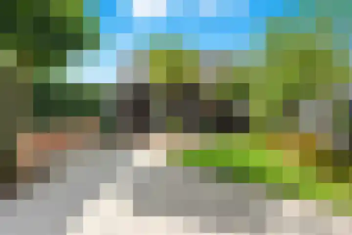 Meerkoet 26 Nieuw-Lekkerland thumbnail 46