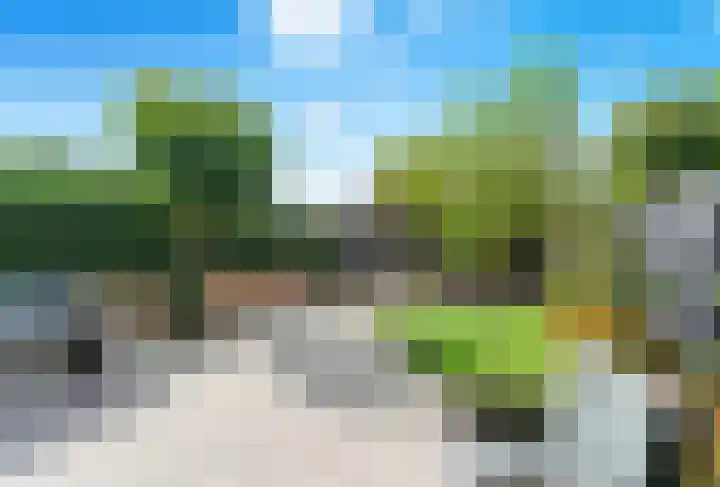 Meerkoet 26 Nieuw-Lekkerland thumbnail 47