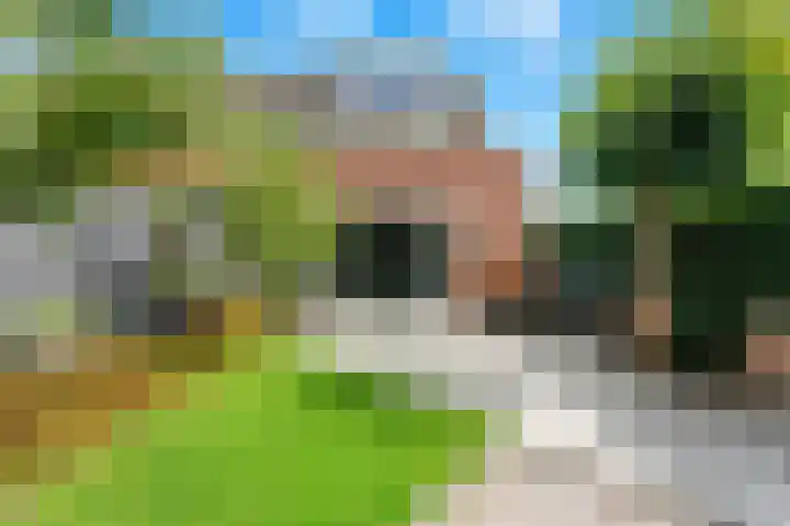 Meerkoet 26 Nieuw-Lekkerland thumbnail 48