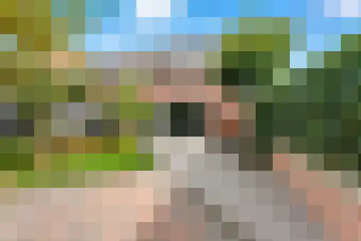 Meerkoet 26 Nieuw-Lekkerland thumbnail 49