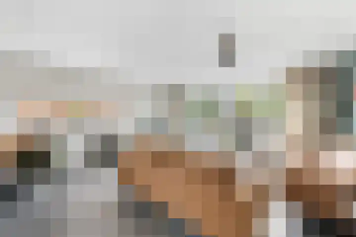 Meerkoet 26 Nieuw-Lekkerland thumbnail 5