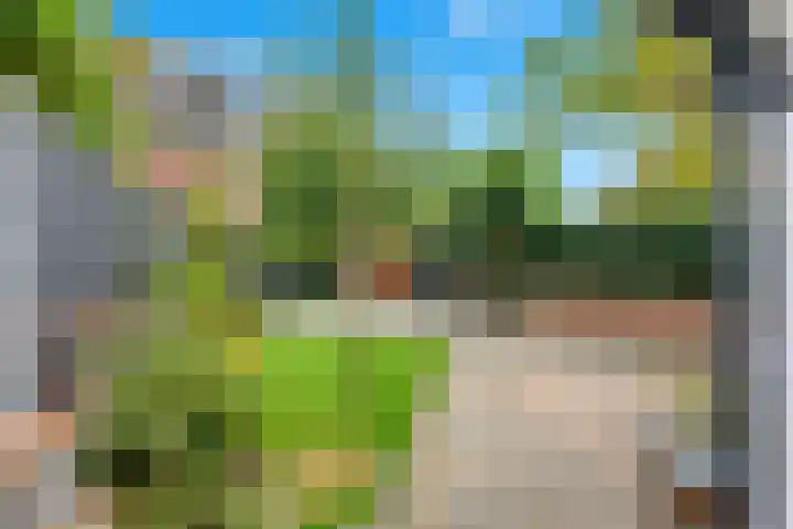 Meerkoet 26 Nieuw-Lekkerland thumbnail 50