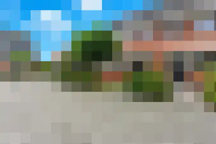 Meerkoet 26 Nieuw-Lekkerland thumbnail 56