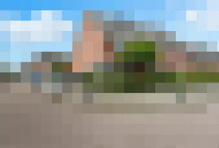 Meerkoet 26 Nieuw-Lekkerland thumbnail 57