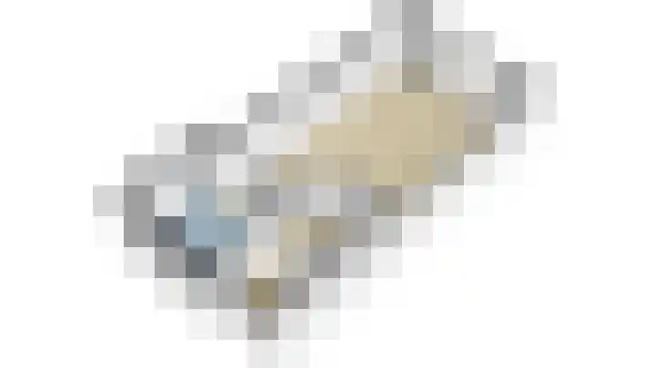 Meerkoet 26 Nieuw-Lekkerland thumbnail 59