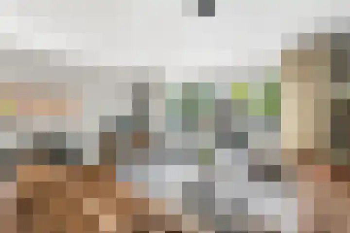 Meerkoet 26 Nieuw-Lekkerland thumbnail 6