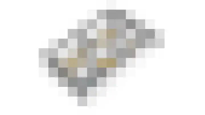 Meerkoet 26 Nieuw-Lekkerland thumbnail 61