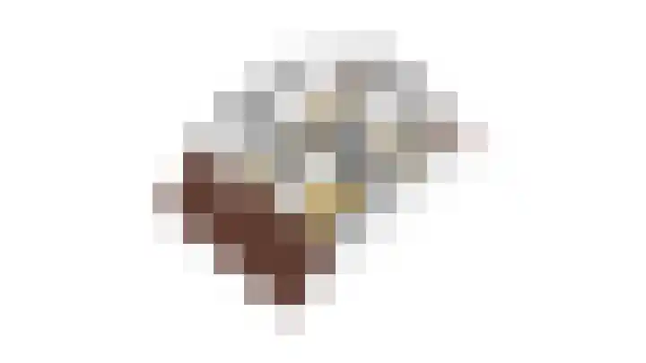 Meerkoet 26 Nieuw-Lekkerland thumbnail 63