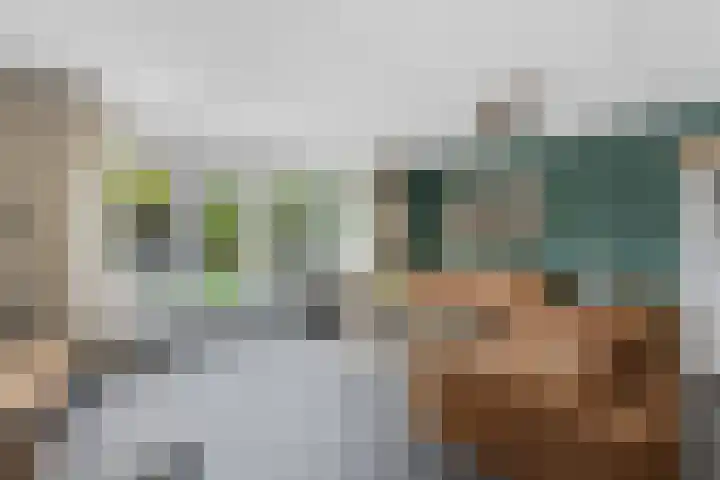 Meerkoet 26 Nieuw-Lekkerland thumbnail 9