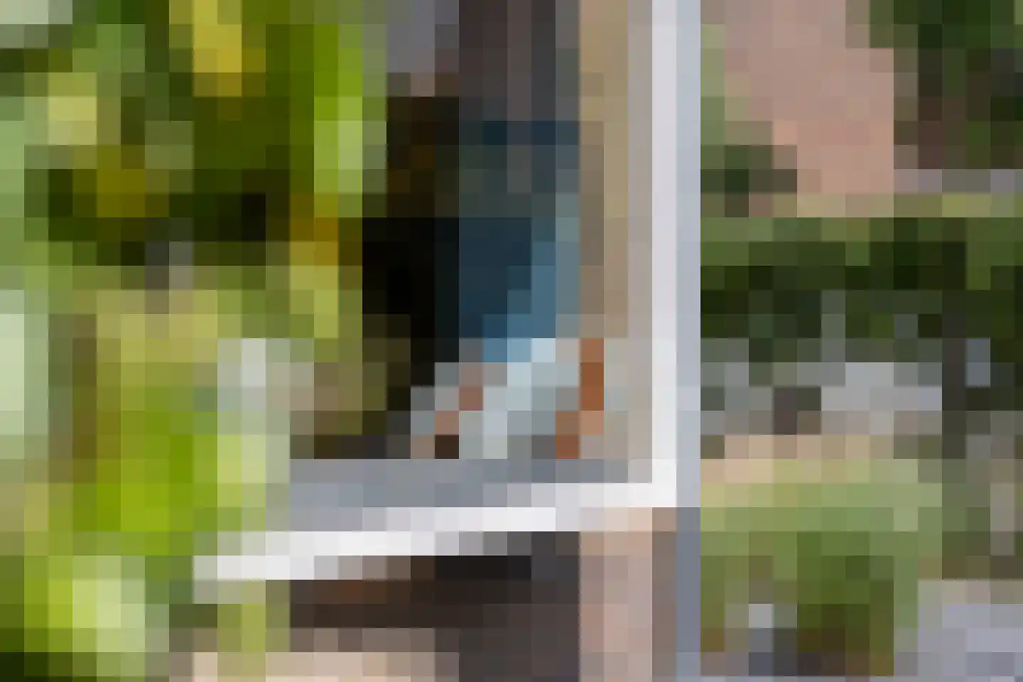 Meerkoet 26 Ridderkerk thumbnail 10