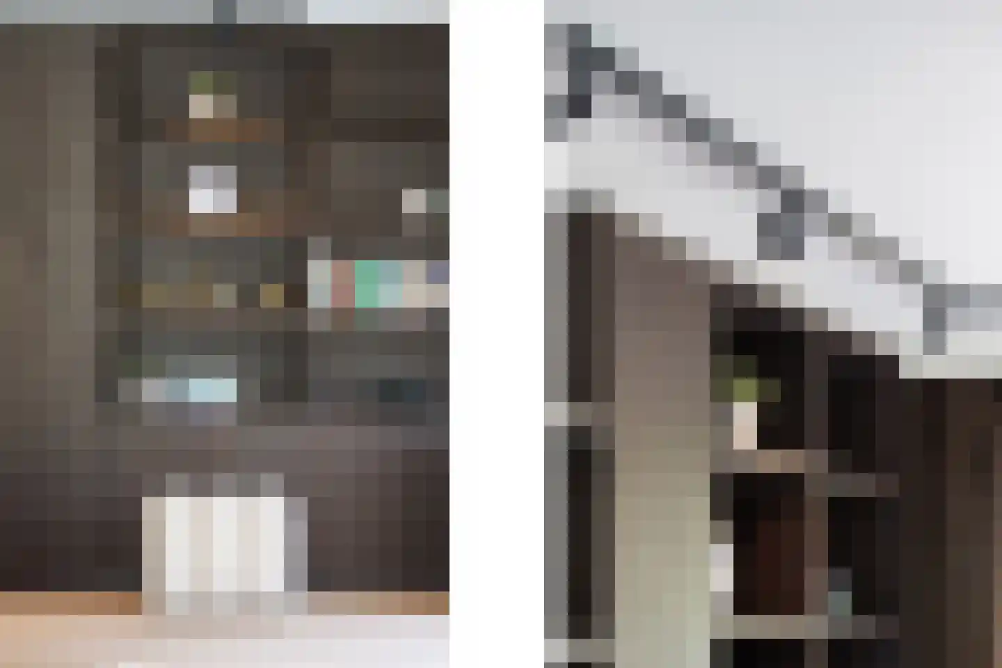 Meerkoet 26 Ridderkerk thumbnail 20