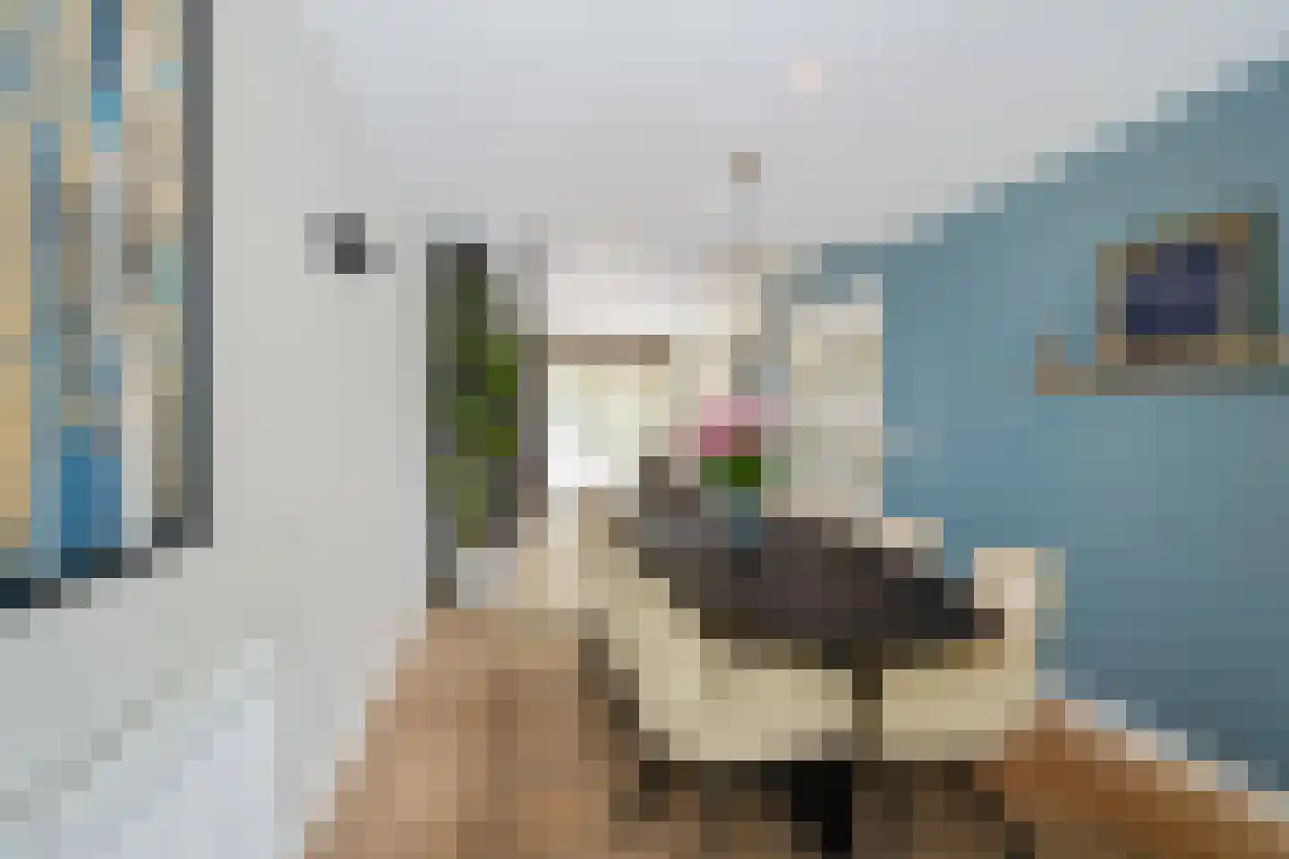 Meerkoet 26 Ridderkerk thumbnail 21