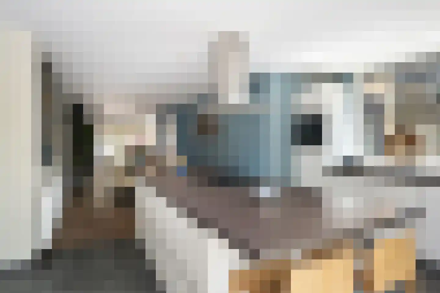 Meerkoet 26 Ridderkerk thumbnail 23