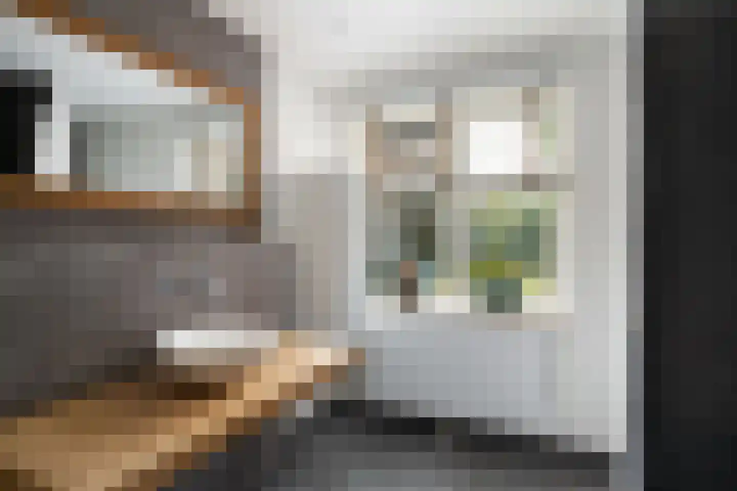 Meerkoet 26 Ridderkerk thumbnail 31