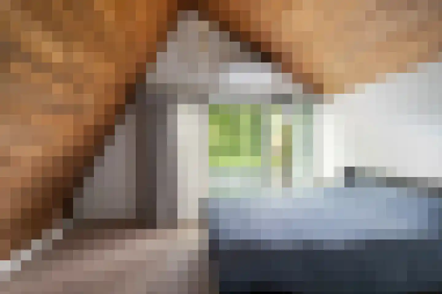 Meerkoet 26 Ridderkerk thumbnail 39