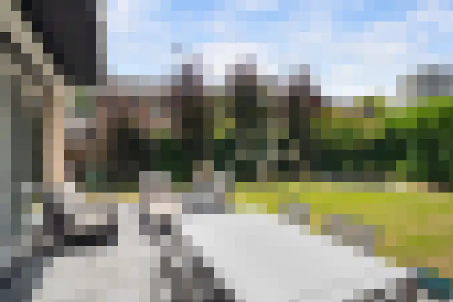 Meerkoet 26 Ridderkerk thumbnail 4