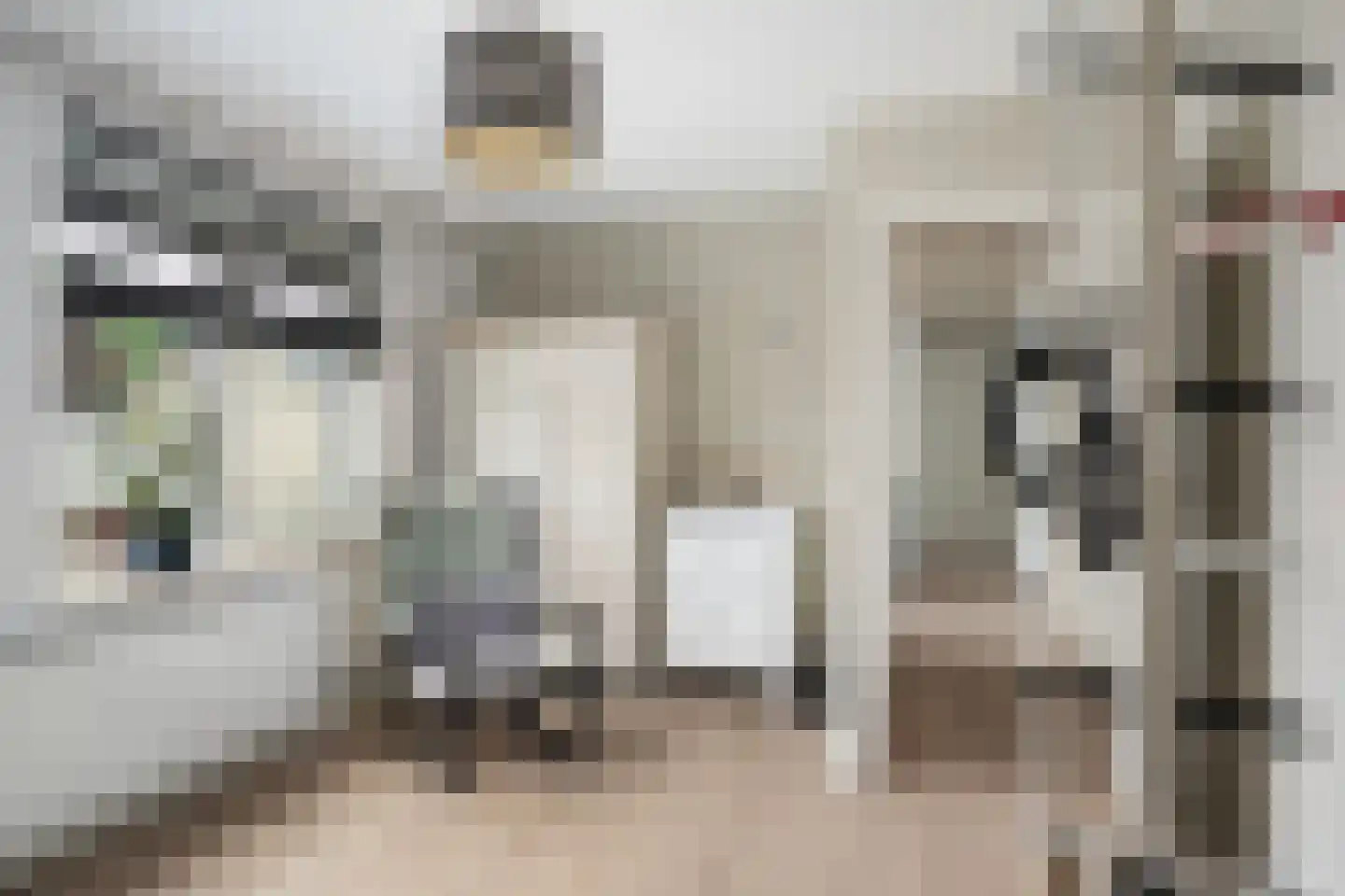 Meerkoet 26 Ridderkerk thumbnail 43