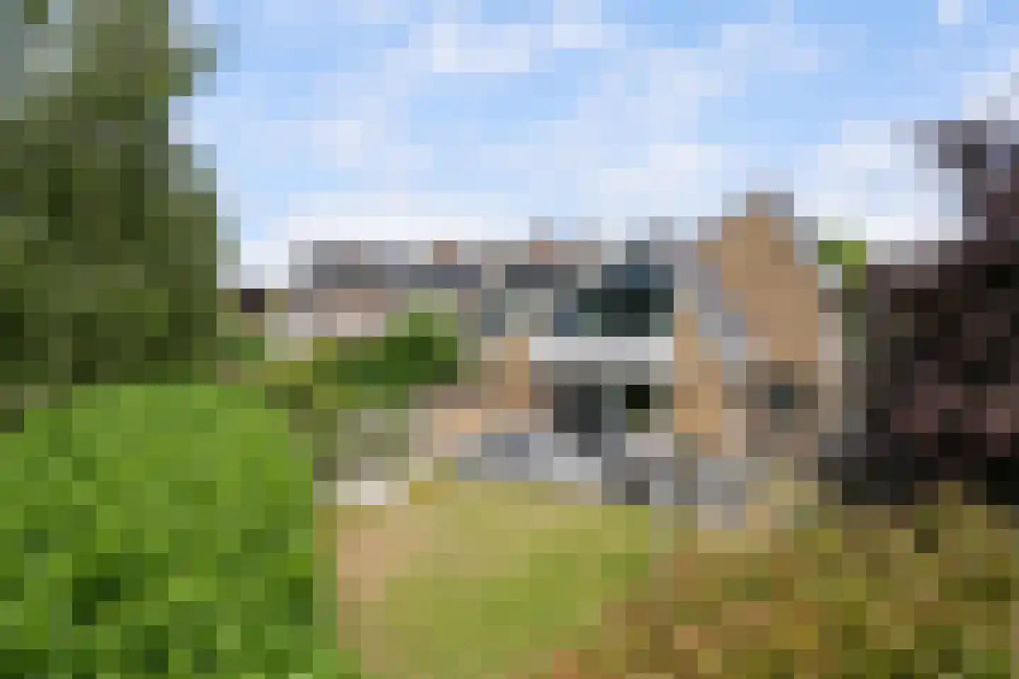 Meerkoet 26 Ridderkerk thumbnail 5