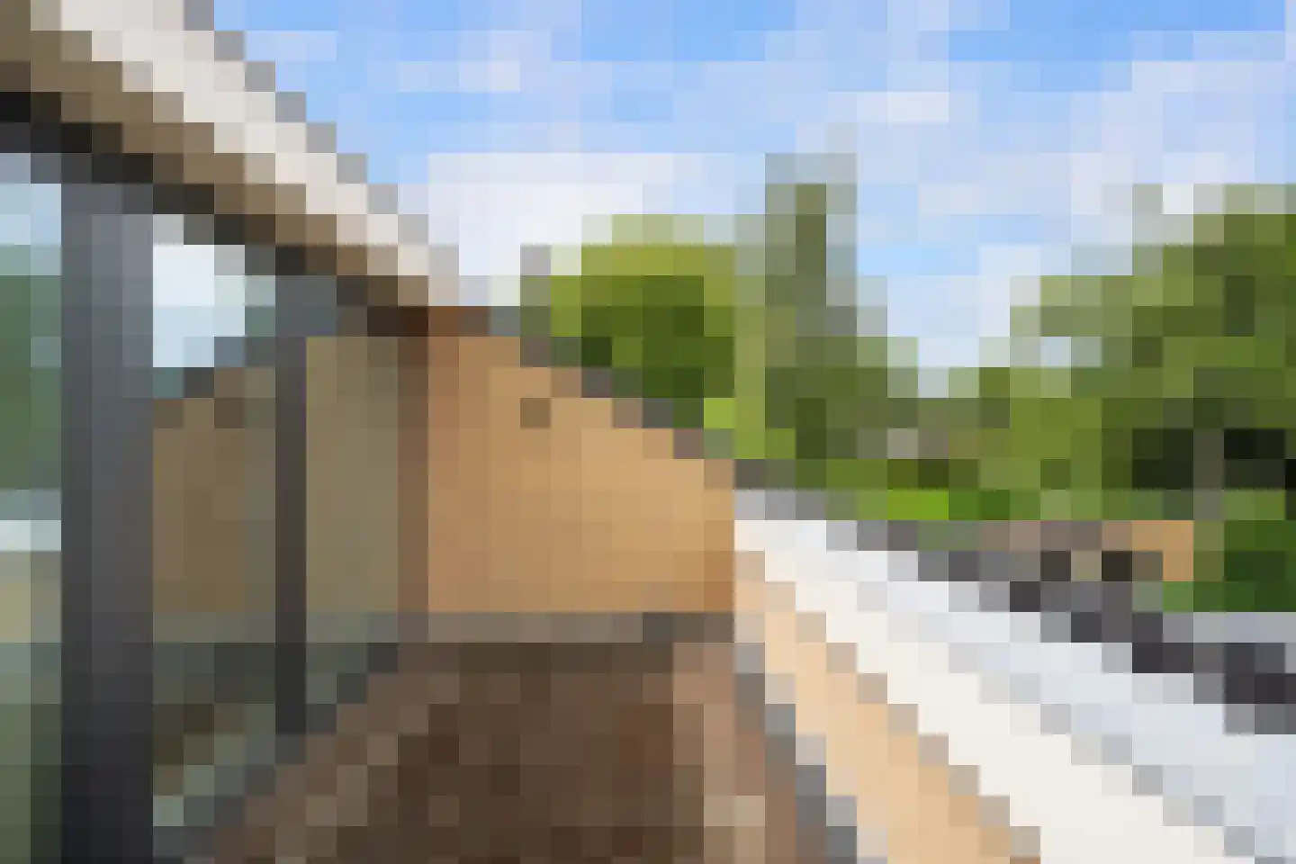Meerkoet 26 Ridderkerk thumbnail 52