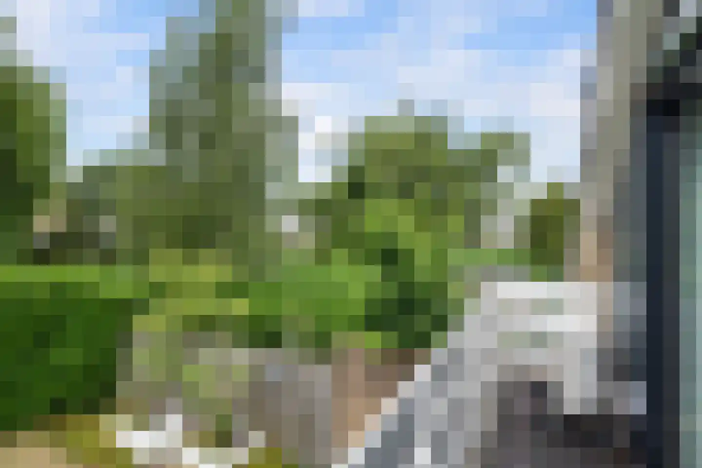 Meerkoet 26 Ridderkerk thumbnail 55