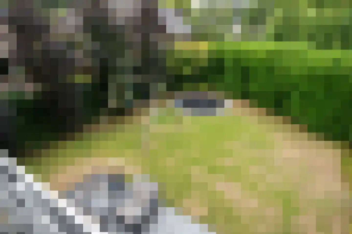 Meerkoet 26 Ridderkerk thumbnail 57