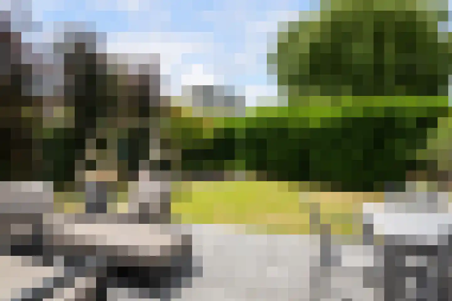 Meerkoet 26 Ridderkerk thumbnail 58