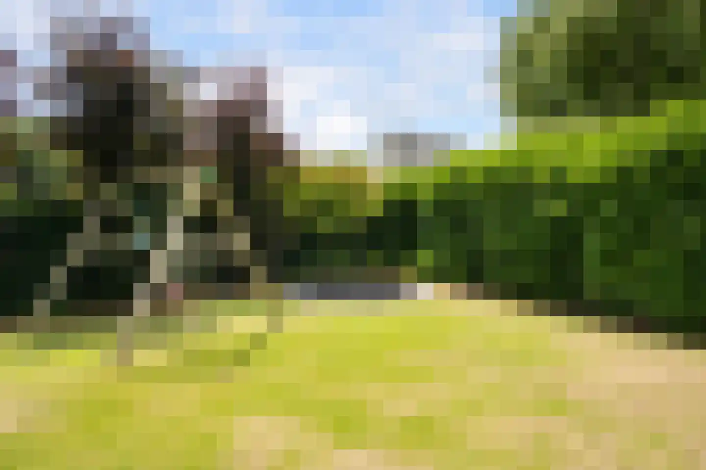 Meerkoet 26 Ridderkerk thumbnail 59
