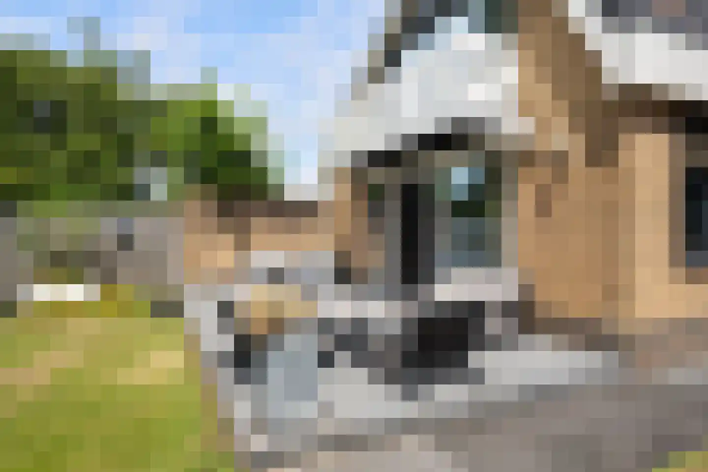 Meerkoet 26 Ridderkerk thumbnail 62