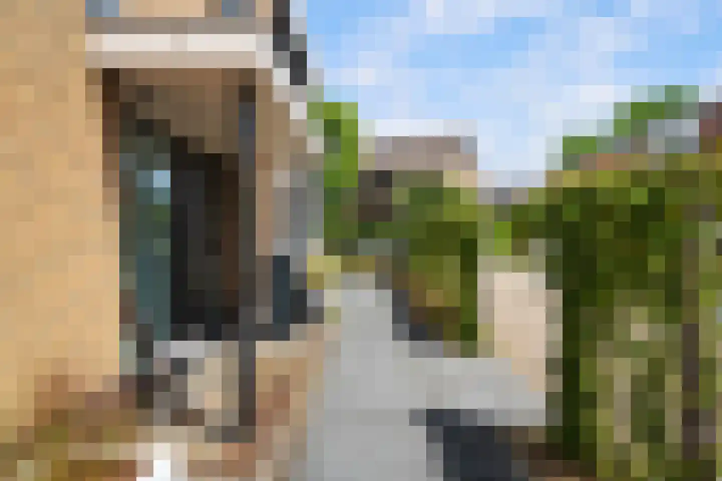 Meerkoet 26 Ridderkerk thumbnail 9