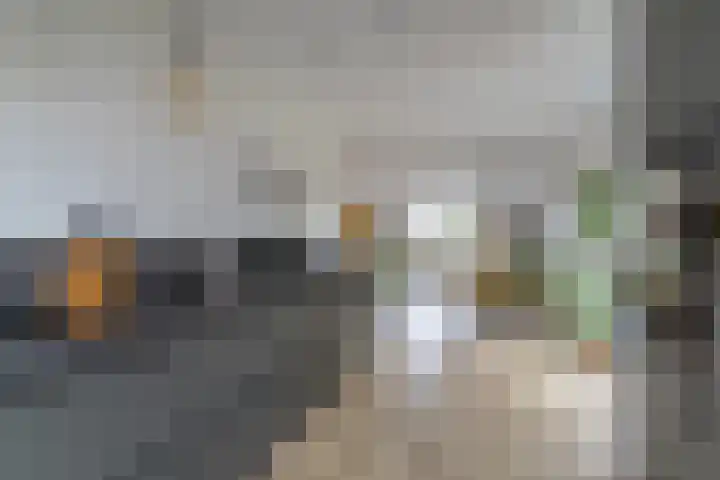 Meerkoet 26 Veenendaal thumbnail 11