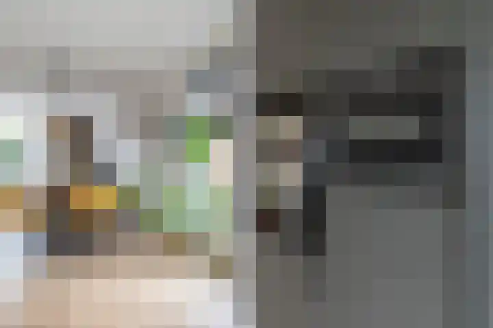 Meerkoet 26 Veenendaal thumbnail 12