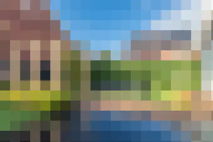 Meerkoet 26 Veenendaal thumbnail 28
