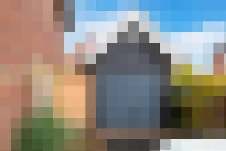 Meerkoet 26 Veenendaal thumbnail 31