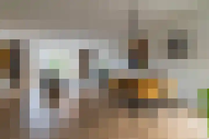 Meerkoet 26 Veenendaal thumbnail 4