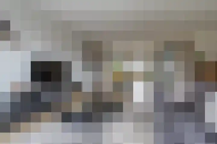 Meerkoet 26 Veenendaal thumbnail 5