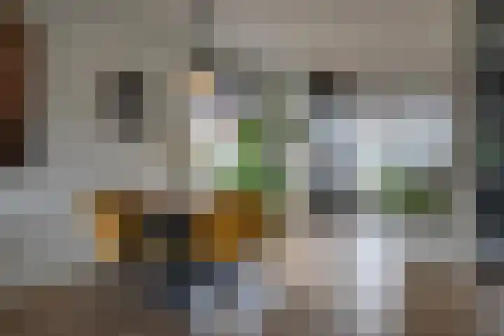 Meerkoet 26 Veenendaal thumbnail 6