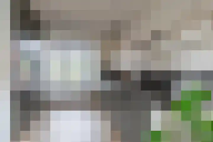 Meerkoet 26 Veenendaal thumbnail 8