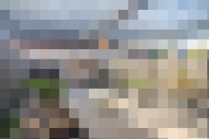 Meerkoet 27 Bergen op Zoom thumbnail 22