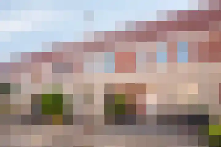 Meerkoet 27 Bergen op Zoom thumbnail 25