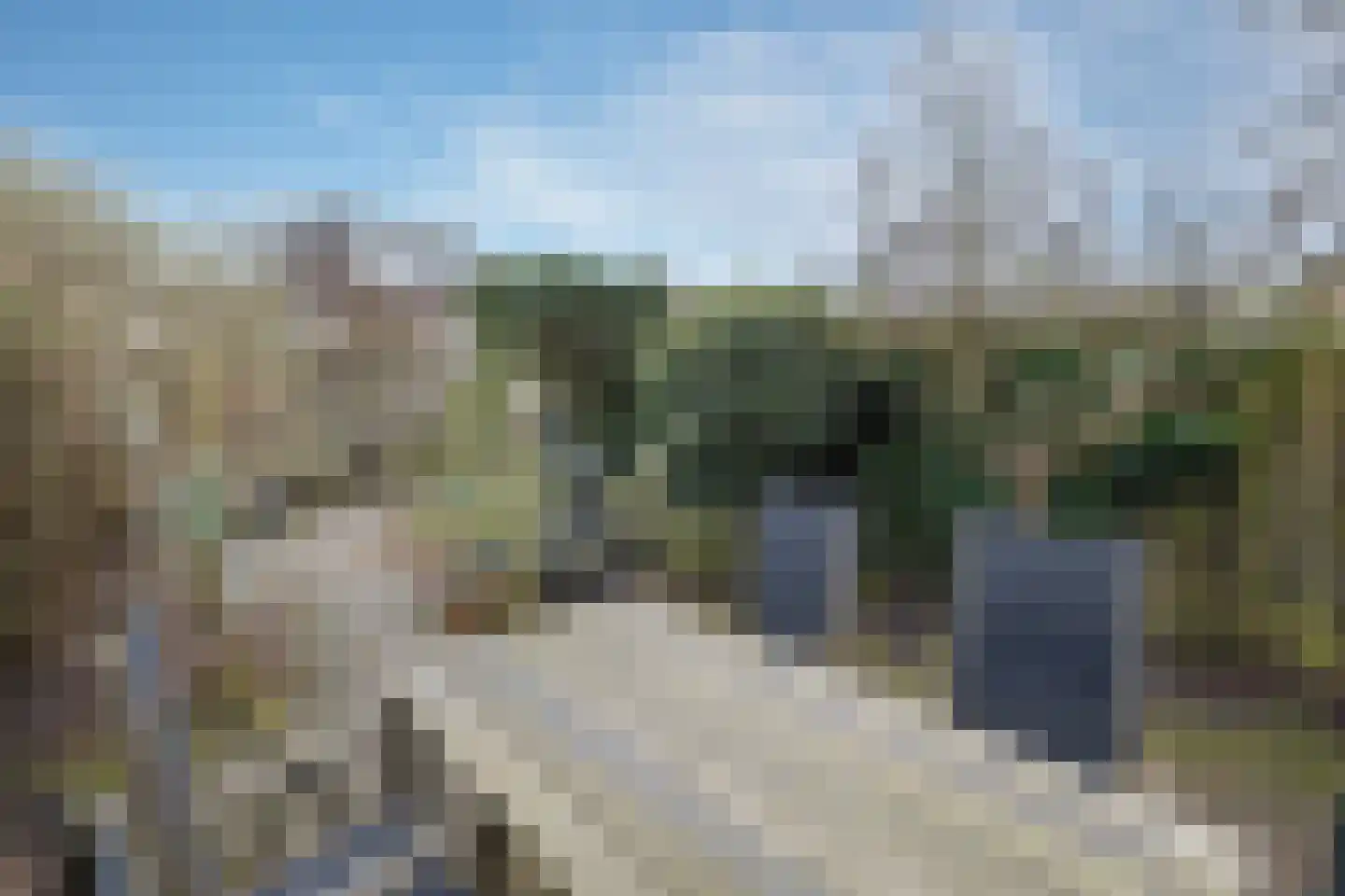 Meerkoet 27 Driebergen-Rijsenburg thumbnail 34