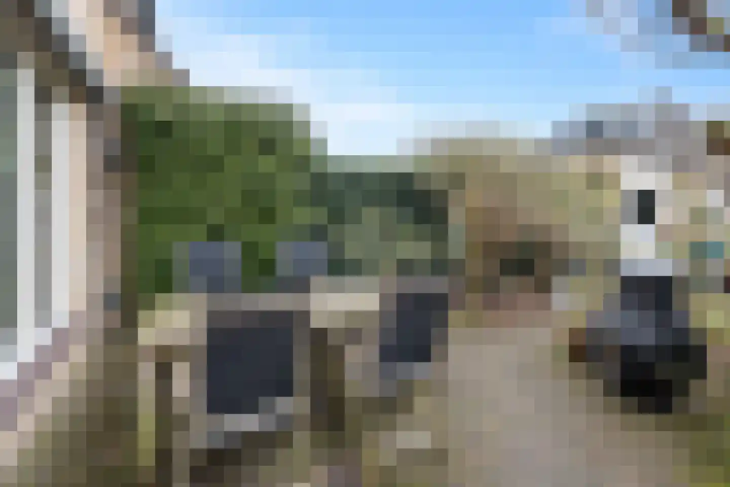 Meerkoet 27 Driebergen-Rijsenburg thumbnail 35