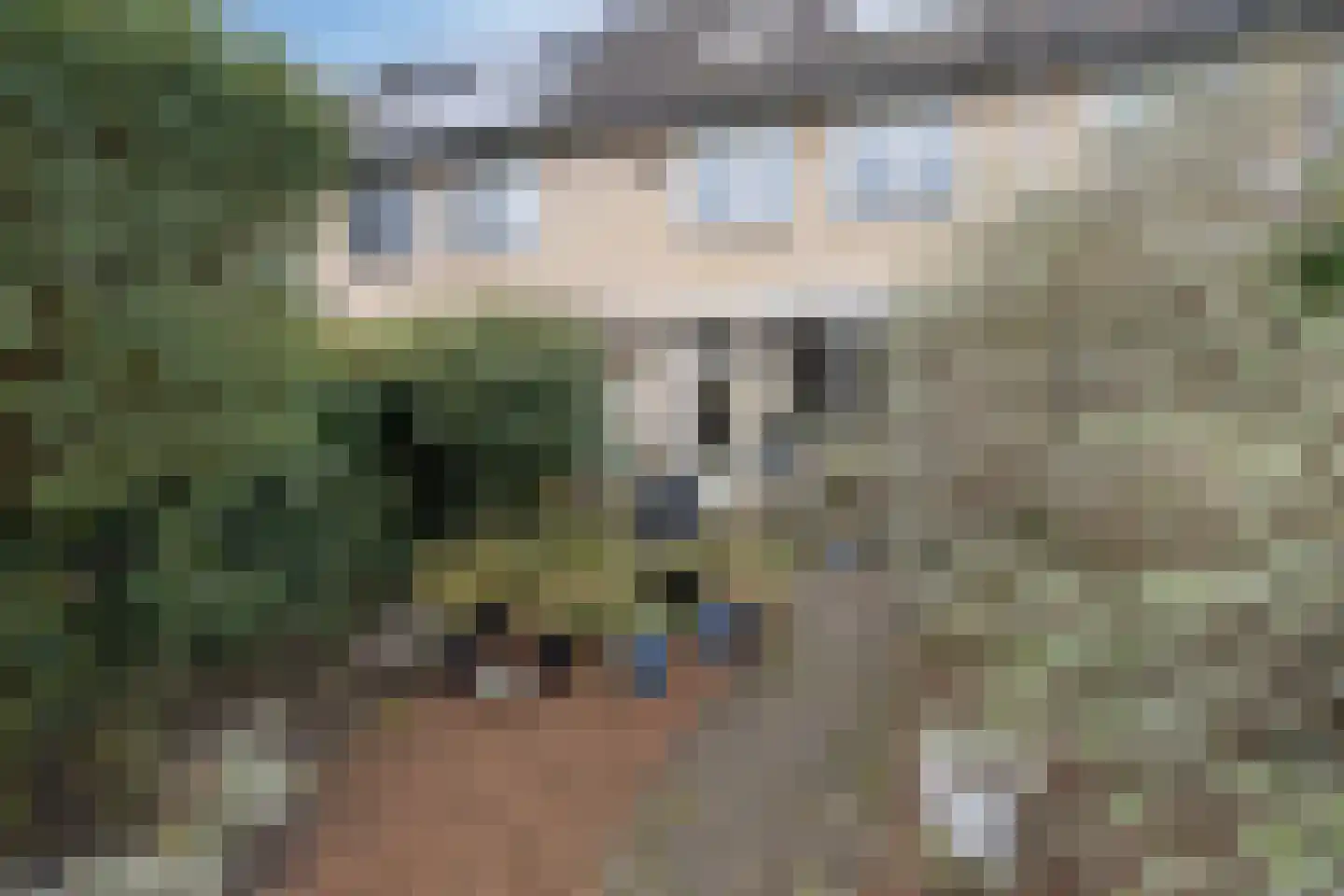 Meerkoet 27 Driebergen-Rijsenburg thumbnail 36