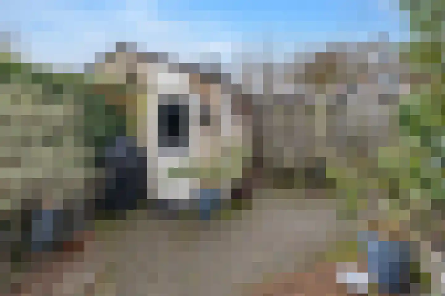 Meerkoet 27 Driebergen-Rijsenburg thumbnail 37