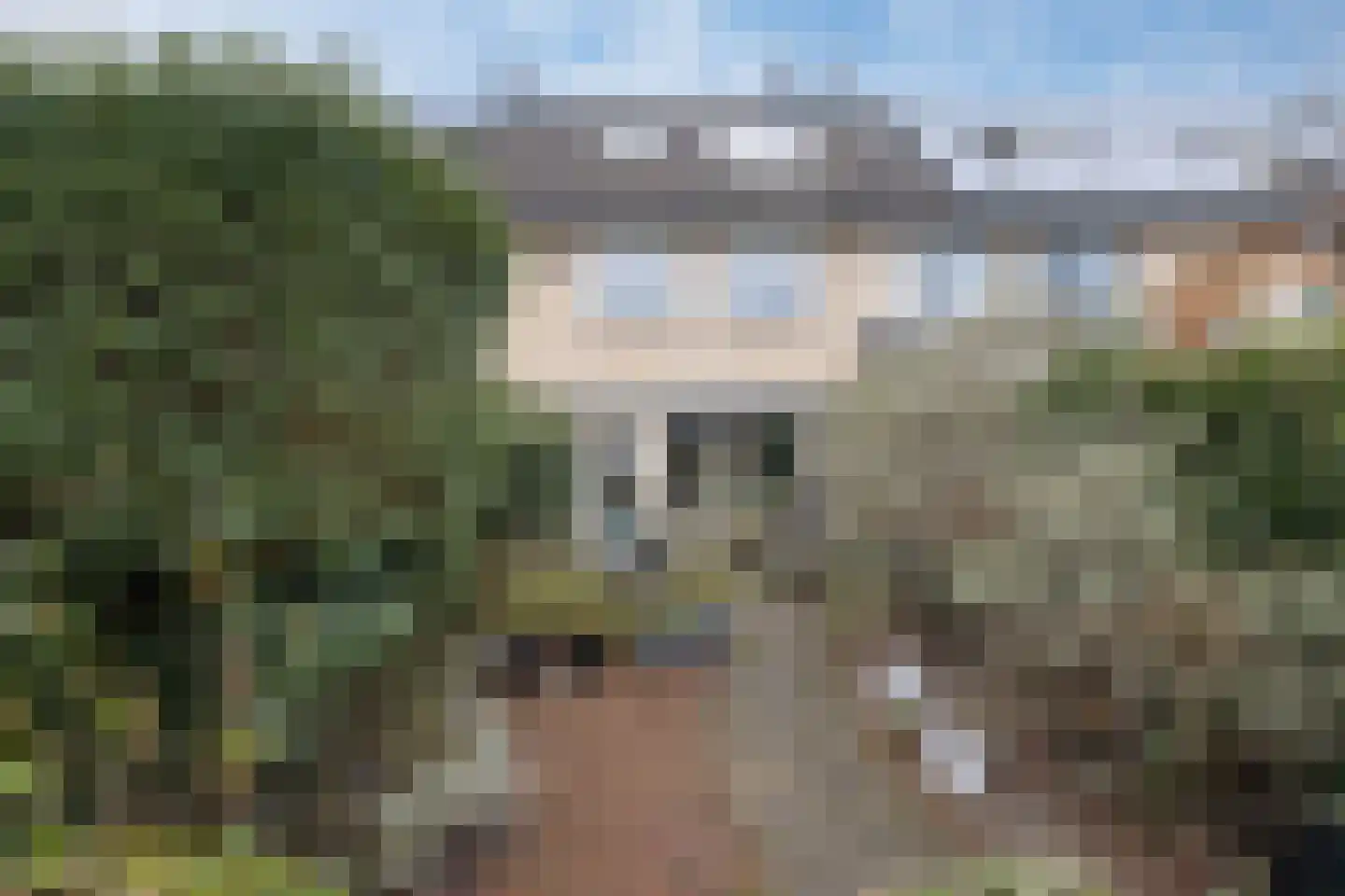 Meerkoet 27 Driebergen-Rijsenburg thumbnail 38
