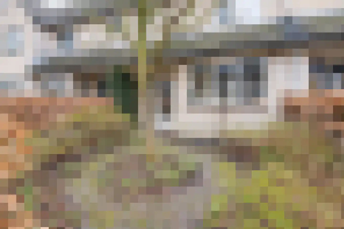 Meerkoet 27 Driebergen-Rijsenburg thumbnail 39