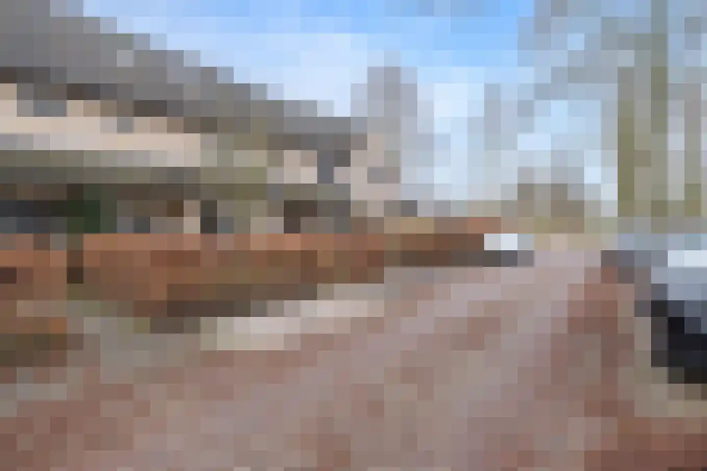 Meerkoet 27 Driebergen-Rijsenburg thumbnail 42